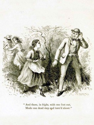 Page 25, The Surprise. illustration by Hammatt Billings, Rural Poems by William Barnes, published by Boston, Robert Brothers 1869