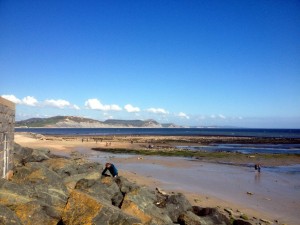 Lyme Regis and Charmouth - Image Credit: Mark North copyright 2018