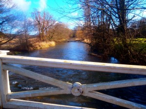 River Frome, Frampton - Image Credit: Jim Potts copyright 2018